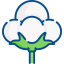 Organic Cotton Icon